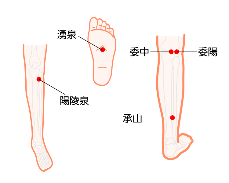 膝の痛みツボイラスト